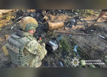 На Бориспільщині знешкодили бойову частину ворожого БпЛА