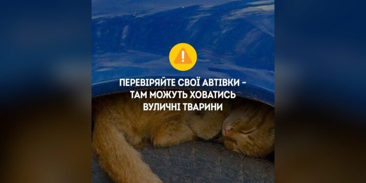 Патрульні закликають водіїв перевіряти авто через тварин під капотом