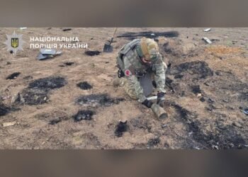 На Бориспільщині знешкодили бойову частину ворожого дрона