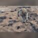 На Бориспільщині знешкодили бойову частину ворожого дрона